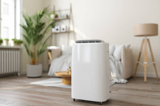 Best Local HVAC Companies  in Dillon, SC